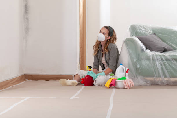 Reliable Black Mold Remediation contractor in Windsor, NC by 24 Hour Mold Removal